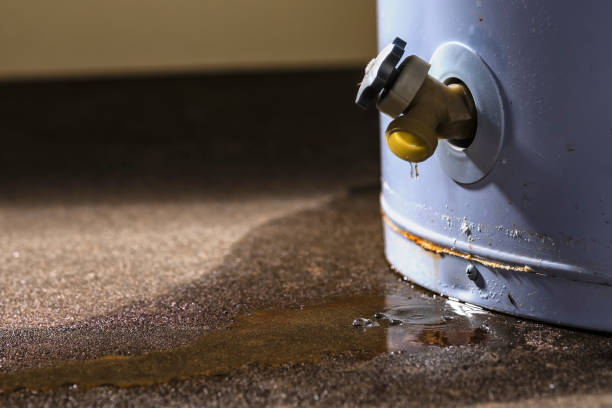 Best Water damage cleanup near me  in Pleasant Hills, MD