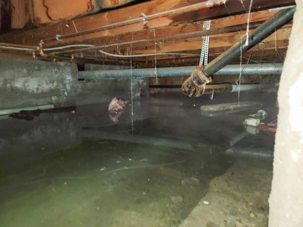 Best Water damage restoration company  in Pleasant Hills, MD